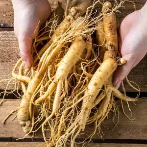 금산인삼 삼계용 수삼 대 375g 5년근 진공포장 인삼차 국산 뿌리많은삼 국내산 삼 수삼 난발삼