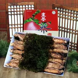 [풍기인삼] 5년근 수삼 500g (8-10뿌리) x 2박스