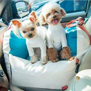 카시트 진돗개 겸용 차량용 소형견 자동차 콘솔박스 가방형 펫페어 강아지앞좌석카시트 대형