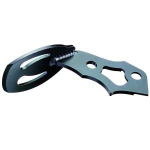 페츨, 쿼크에 대한 아제