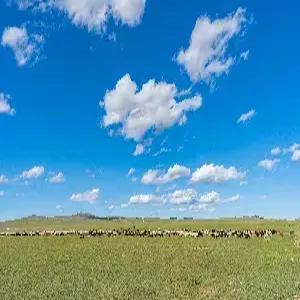 [공식인증전용] 몽골/테렐지 5일 #5성급호텔 #현대식게르[2인1실] #NO팁 #NO쇼핑 #NO옵션 #야마트산트레킹 #초원승마 #노마딕어니스 #전통공연 #독수리체험 #푸르공 #전신마사지 #별빛포차