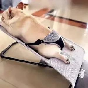 강아지바운서 강아지흔들의자 강아지용품 고양이해먹방석