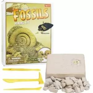 화석을 직접 발굴하는 체험 고고학의 이해 세트