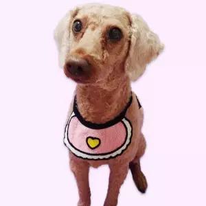 반려동물 턱받침 A 대 애견스카프 고양이스카프 토끼