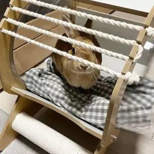 원목 캡슐 고양이 쉼터 고양이숨숨집 고양이하우스 투