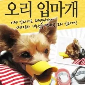 중형견 외출산책용 오리입마개 L 2개 A79555 개마스크