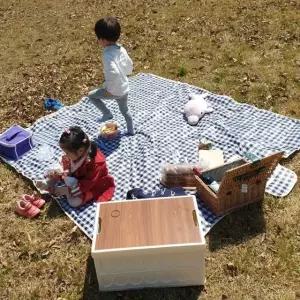 방수 피크닉 매트 대형 체크무늬 바닥재 야외 캠핑 블루 색상