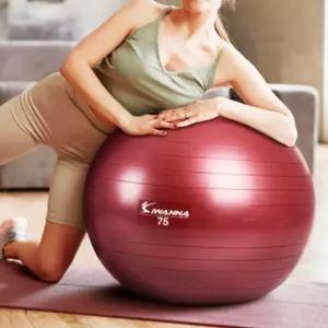 짐볼 루비 와인 75cm 임산부 균형 운동 스트레칭