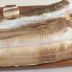 (제스트)통영 바다장어 손질 2kg 특대 소스포함 구이 붕장어