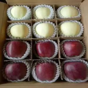 배망 완충제 완충재 포장재 과일 완충 포장지 흰색