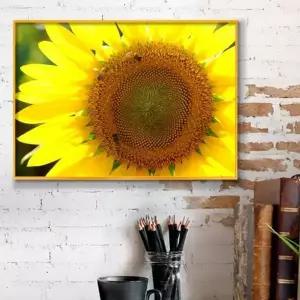 해바라기 EPC631J3 해바라기사진 액자 풍수 복 돈 A3goldAL4