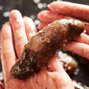 국내산 횟감용 참해삼 500g 2-6미