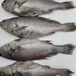 프리미엄 반건조 민어 선물세트 5미 제수용 생선 명절 선물