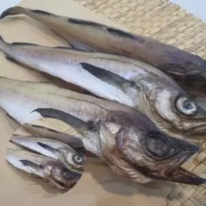 코다리 1미 코다리구이 반찬코다리 술안주코다리