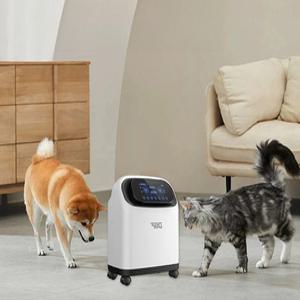 가정용 산소발생기 도서관 사무실 고양이 강아지 공기정화 독서실 산소 소형차 청정 수험생