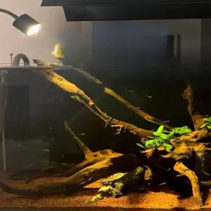 어항 스팟조명 스포트라이트 거치식 포인트조명 LED 물그림자 물멍 어플 컨트롤 3W