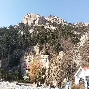 [우리끼리]칭다오[청도]/노산 3일 #노산풍경구 포함 #맥주박물관 #다양한특식