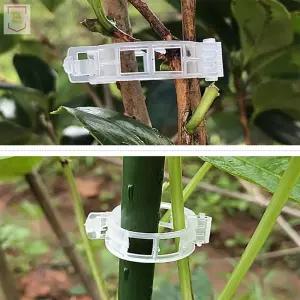 메가디자인 식물 고정 클립 식물고정끈케이블타이