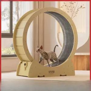 캣휠 고양이 운동기구 캣스텝 매트 프레임 링 대형