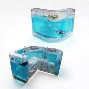 개미관찰 개미집 하우스 곤충 개미 키우기 (WFJW64B)