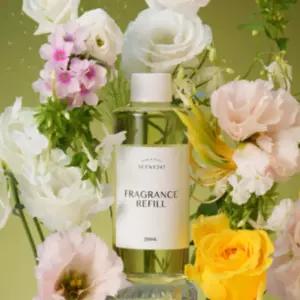 센트247 디퓨저 리필액 방향제 블랙체리 실내 200ml BNS