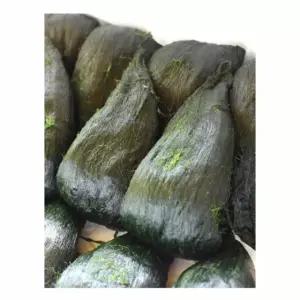 완도 남도 매생이 메생이 생매생이 해초류 350g 10재기