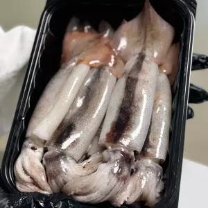 포항 구룡포 통찜용 오징어 1kg 7 - 9미