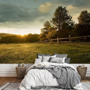 wall26 - 농장의 아름다운 일출 탈착식 벽 벽화 자가 접착 대형 벽지 66x96 인치