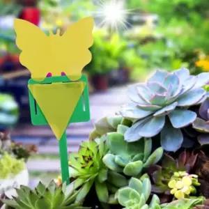 벌레 끈끈이 파리 날벌레 화분 정원 해충트랩 10개 (WFJ5P0N)