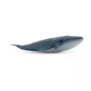 소프트 애니멀 학습용 수염고래 피규어 장식품 미니어쳐 진열 유치원