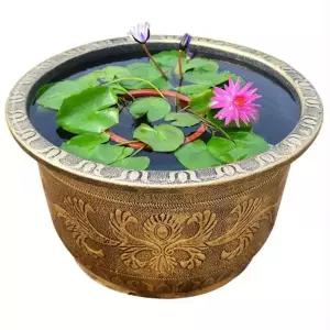 연꽃 원예용품 꽃수반 연화등 수경재배 베란다 무늬