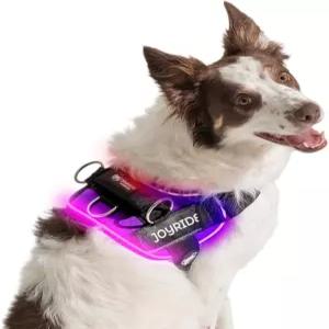 조이라이드 하네스 LED 조명 개 2.0 - 특허 출원 중 디자인 3가지 모드 생생한 충전식 사용자 지정 가능한