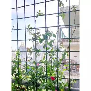 여주 지지대 조롱박 레트로 다용도 전기 만능요리쿠커