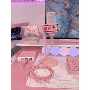 책상용 마이크 컴퓨터 화이트 사운드 쇼크 2대 쇽아운트 BL 2900 시스템 야외