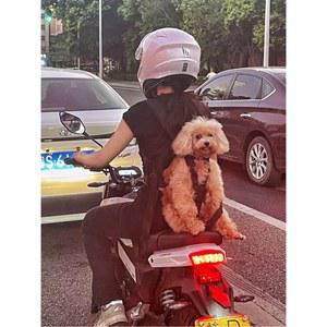 강아지 띠 가방 프론트백 크로스백 산책 고양이 휴대용 포대기 애완견 이동