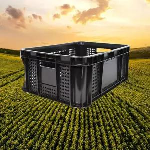 운반상자2호 검정 5개/과일 플라스틱 콘티 이사박스