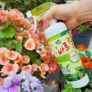 세경팜 식물보호 살충제 바로킬 스프레이 500ml 뿌리파리 해충관리