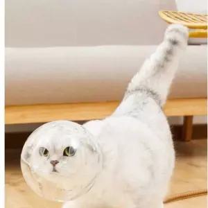 고양이 머리 헬멧 귀여운 보호