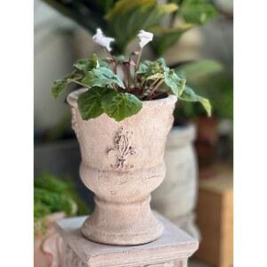 도자기 화분 순수조 화이트 다육 바구니 분갈이 인테리어 부각 잘되는 숨쉬는