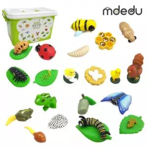 사고력발달 말랑말랑 성장모형세트 미래과학자 곤충체험 곤충학습 직접탐구