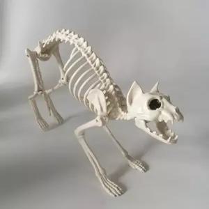 강아지해골 모형 장식품 할로윈 모형장식품 강아지모형