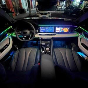 싱유에L 엠비언트 무드등 용품 25등 호환 악세사리