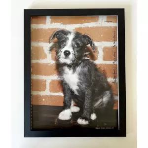 미국 크롬 하츠 강아지 사진 액자 포스터 9x11 376685359358