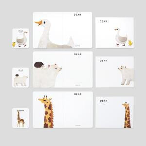 기린 곰 오리 그림 카드 이쁜 엽서 기념일 축하 레터 포스트카드 봉투 세트