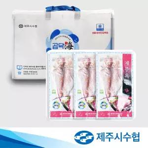 [제주시수협] 특대 명품 제주 옥돔 300g x 3팩