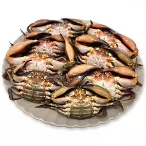 주문폭주 가성비 갑 100 국내산 특급 심쿵 간장 돌게장 식사 간편요리 일식 회식 분식 정식