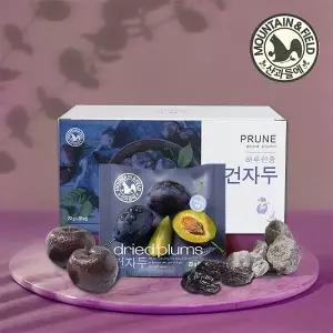 산과들에 산과들에 하루 건자두 20g 20봉 1박스 379228