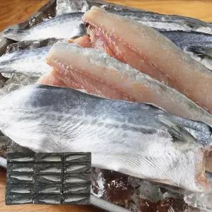 남해안 등푸른 손질 팔뚝 삼치 순살 필렛 