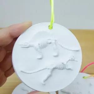 공룡뼈모형으로 석고로 공룡화석만들기 5세트 교구추천