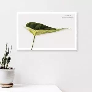 ( AOZ058L1 출고옵션 - 25X25cm ) 식물 캔버스액자 그린잎